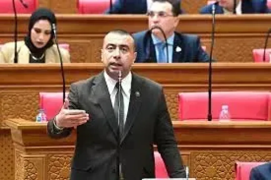 أحمد شلبي 