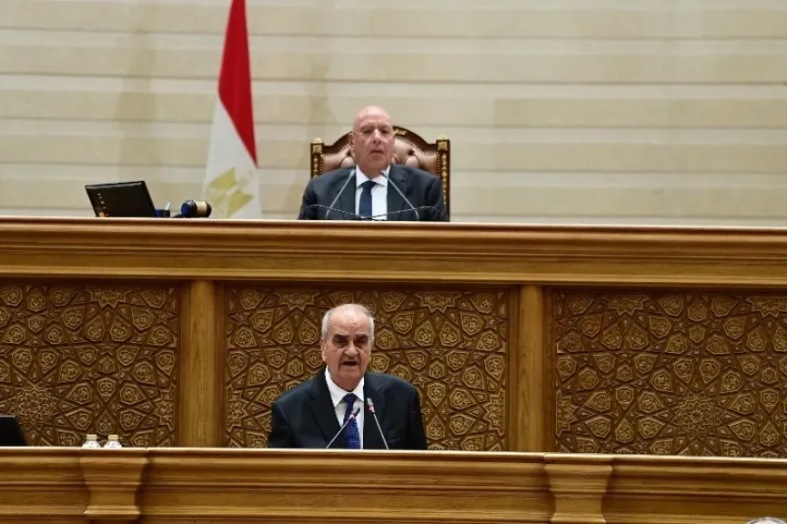 مجلس النواب برئاسة المستشار هشام بدوي