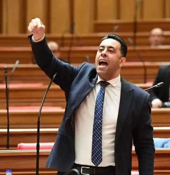 أحمد فرغلي 