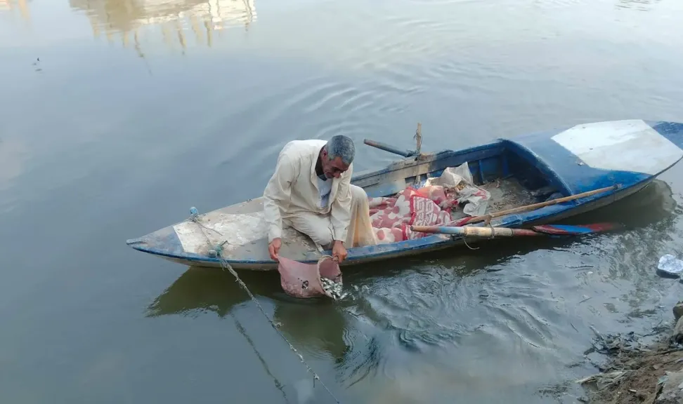 إطلاق 550 ألف زريعة أسماك بلطي ببحر أبو الأخضر بمركز ههيا