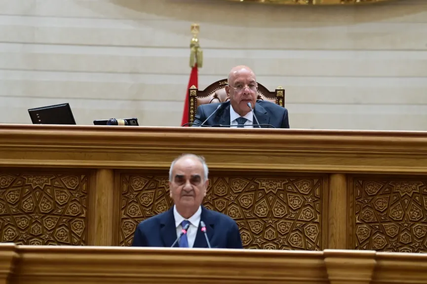 المستشار هشام بدوى