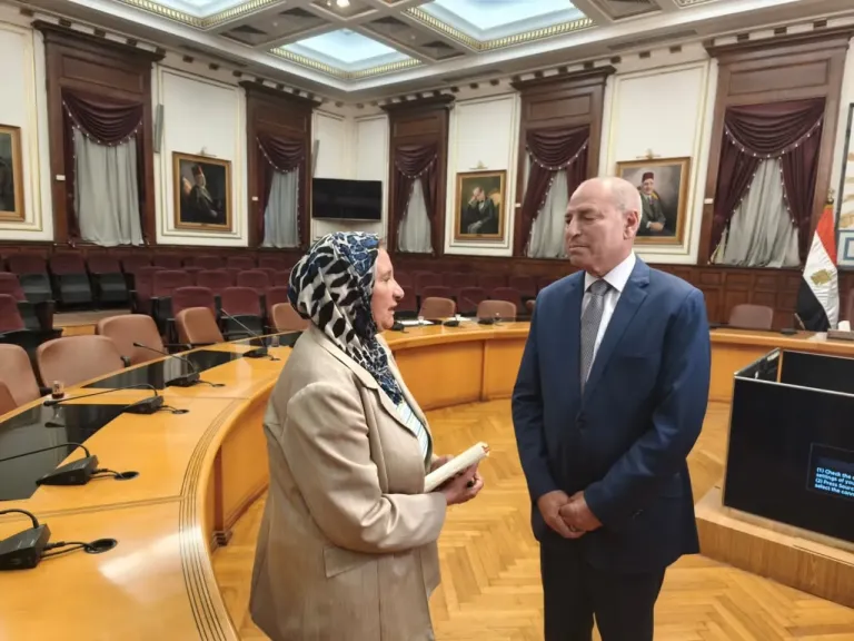 محافظ القاهرة 