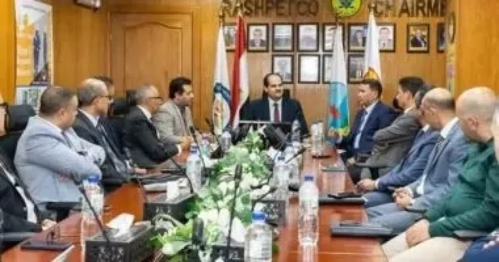 المهندس سيد سليم العضو المنتدب التنفيذي للشركة المصرية القابضة للغازات الطبيعية