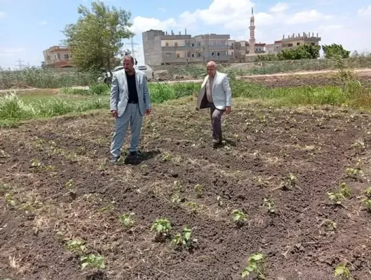 الزراعة