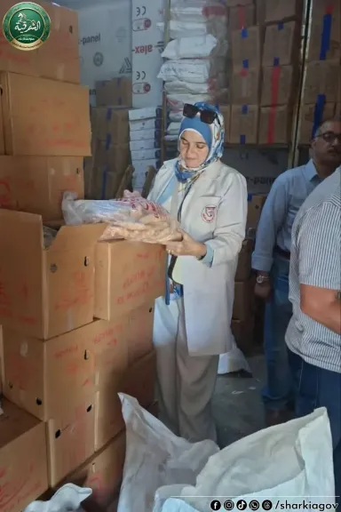 جانب من المضبوطات 