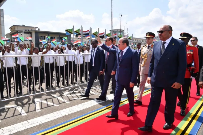 السيد الرئيس السيسي يصل مطار جوليوس نيريري الدولي بمدينة دار السلام