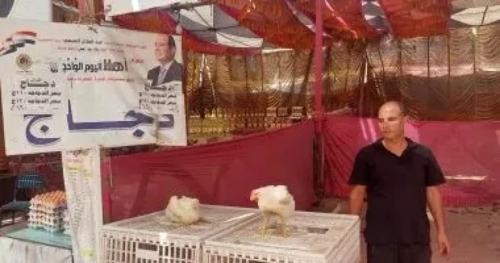 سوق اليوم الواحد