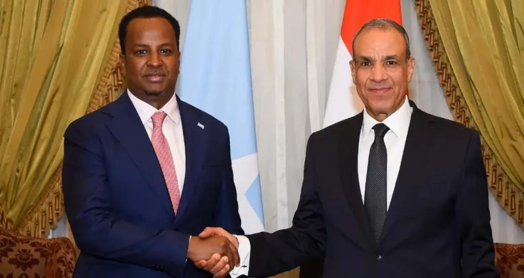 اجتماع وزير الخارجية مع نظيره الصومالي