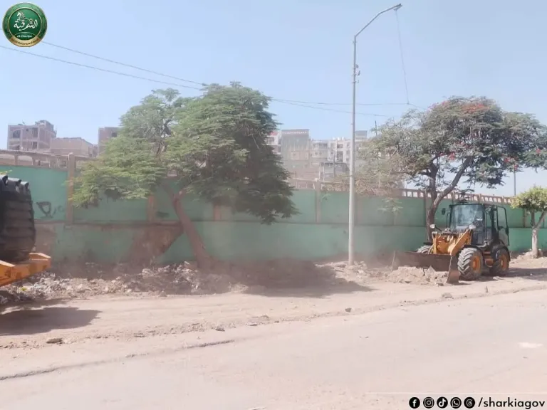 جانب من الحملات 