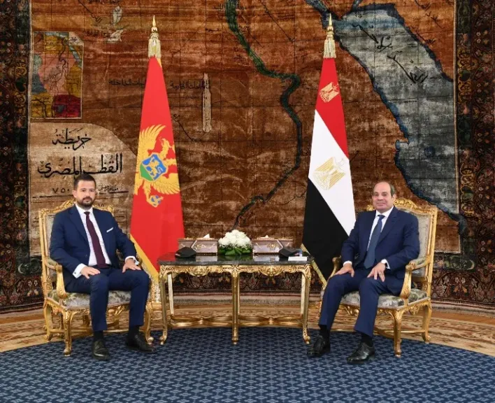 السيد الرئيس عبد الفتاح السيسي