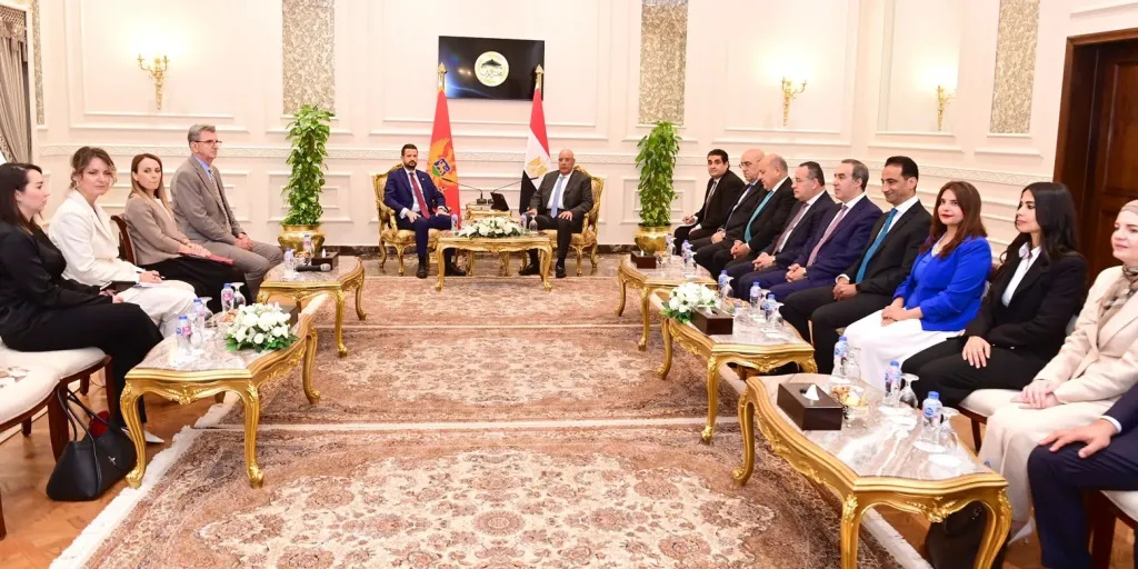 البعثات الدبلوماسية المصرية