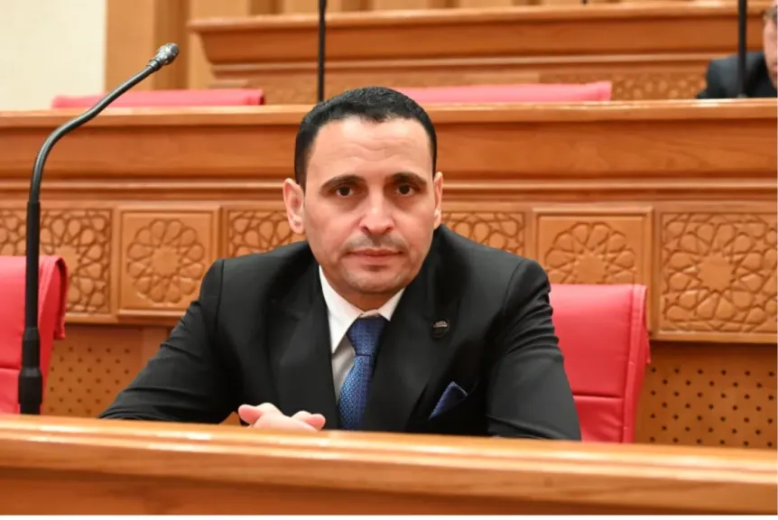 النائب إسلام التلواني