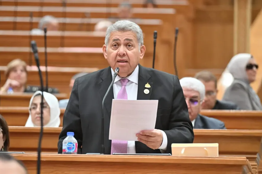 النائب الدكتور  أشرف الشيحي