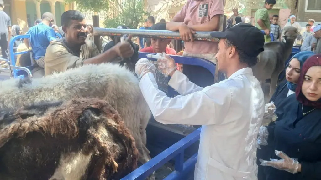 جانب من متابعه 