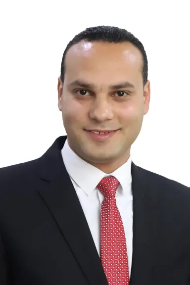 النائب أنس هلول