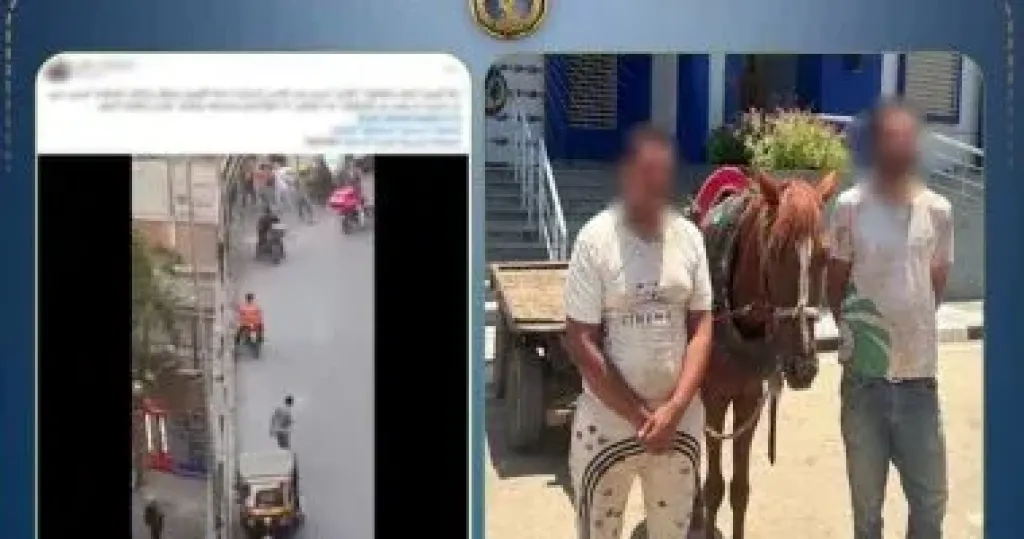 المتهمين 