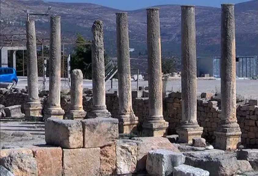 فلسطين