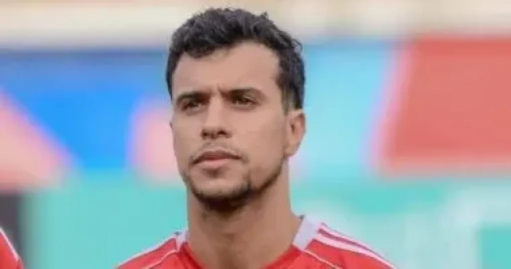 فوزي الحناوي