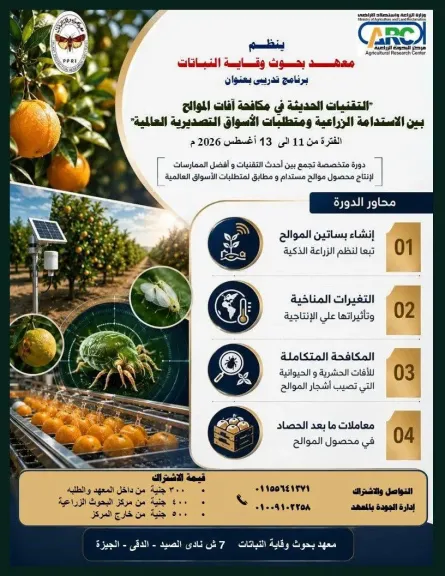 معهد بحوث وقاية النباتات يفتح باب التسجيل لبرنامج تدريبي حول التقنيات الحديثة في مكافحة آفات الموالح