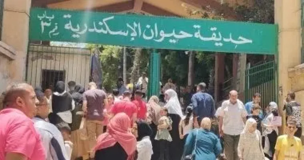 حديقة حيوان الاسكندريه