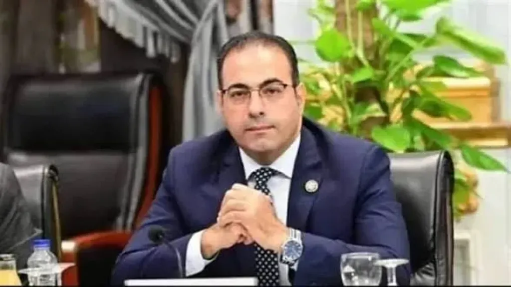 النائب الدكتور محمود حسين