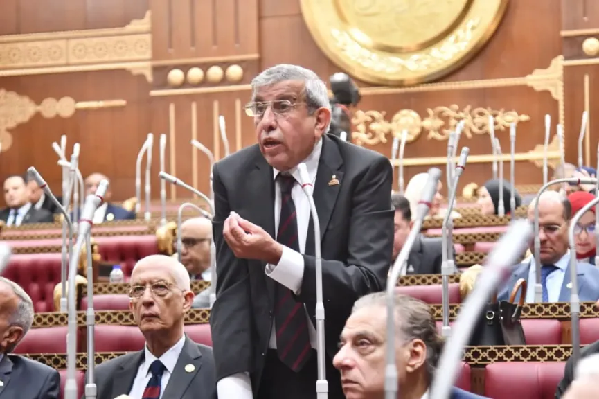  النائب علاء عبد النبي