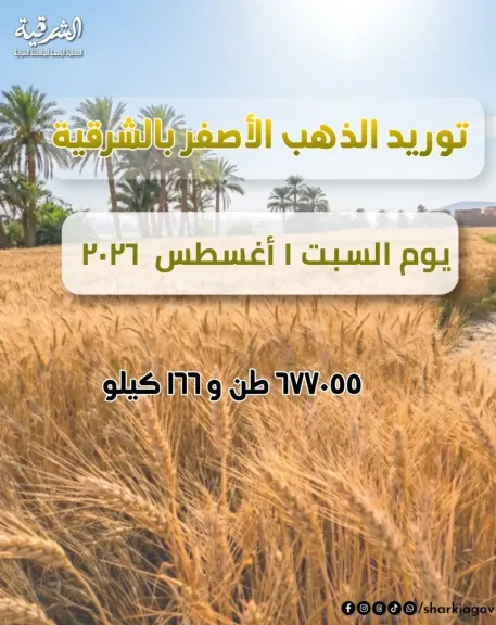 جانب من القمح 