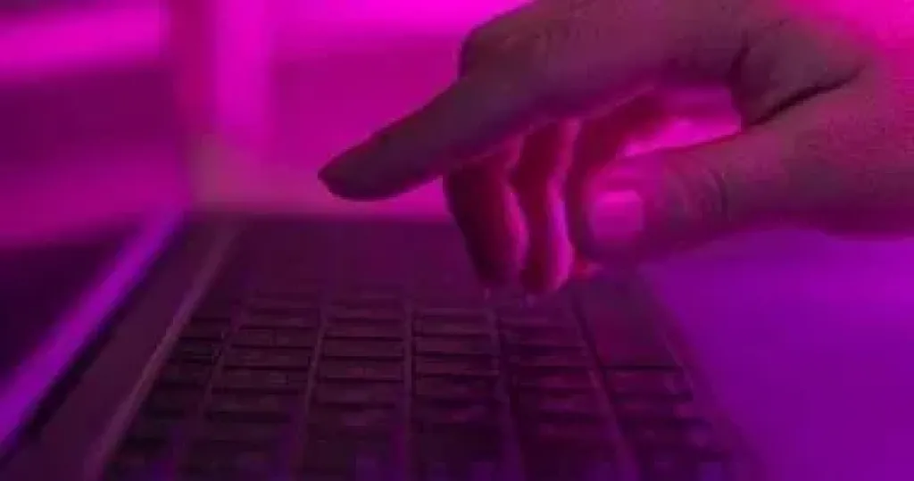 ثغرات أمنية