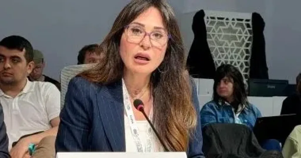 المهندسة راندة المنشاوي