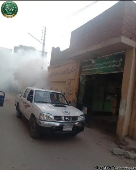 جانب من رش الحشرات 