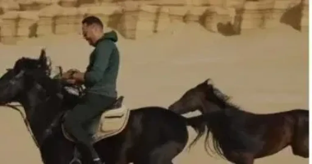 الخيول 