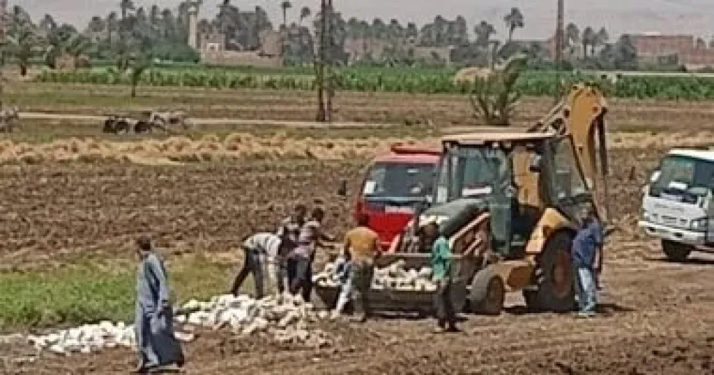 تعديات على أراضى