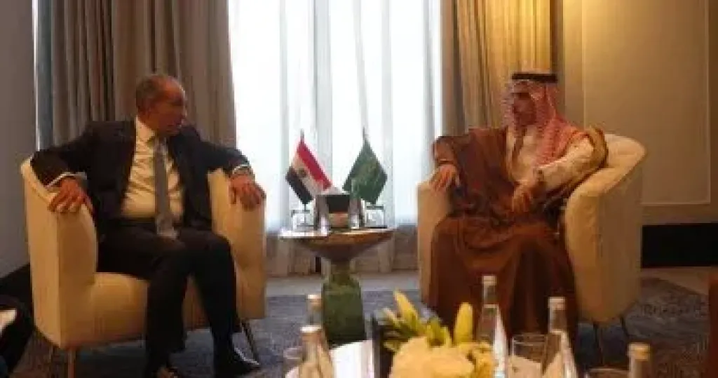 وزير الخارجية 