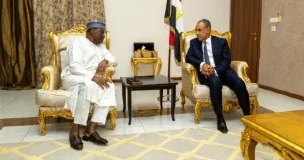 جانب من اللقاء 
