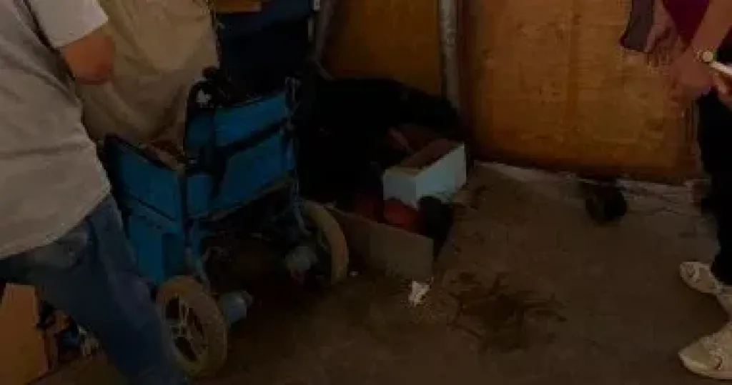 جانب من الحملات 