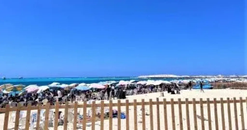 الطقس 