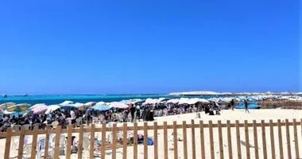 الطقس