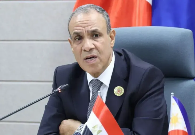 وزير الخارجية الدكتور بدر عبد العاطى 