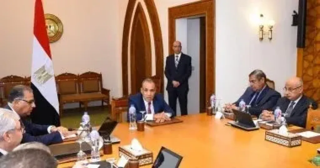 وزير الخارجية والهجرة بدر عبد العاطى ـ أرشيفية