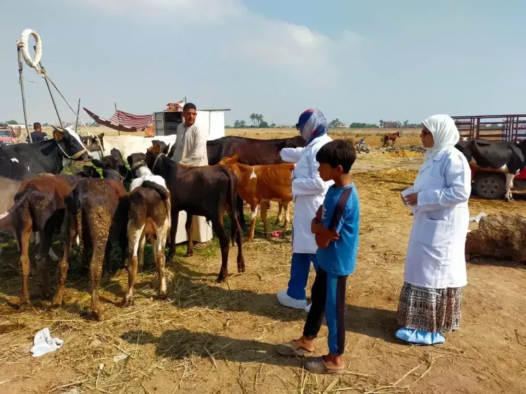 الثروة الحيوانية 