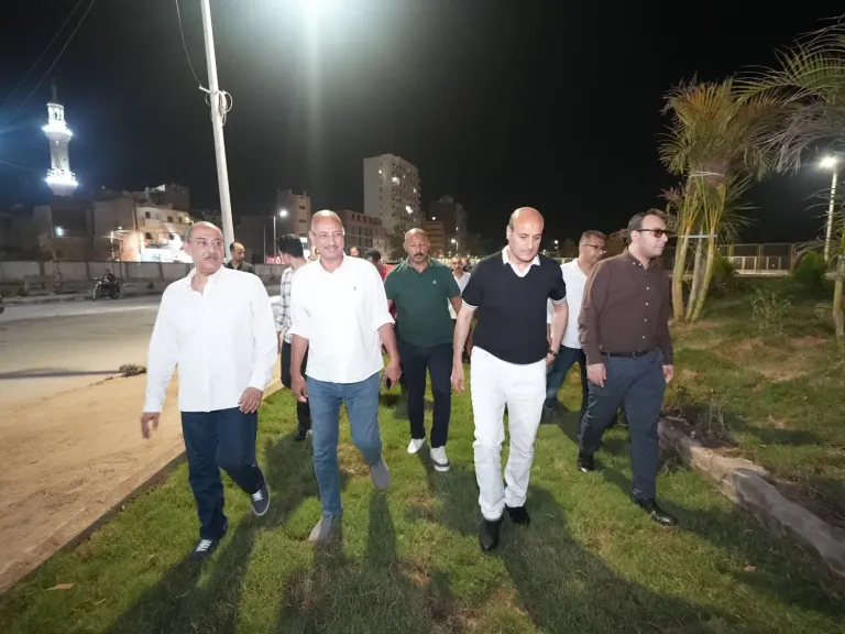 محافظ أسيوط 