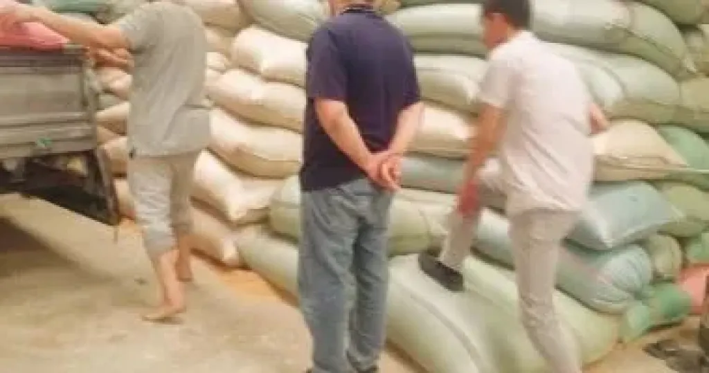 القمح