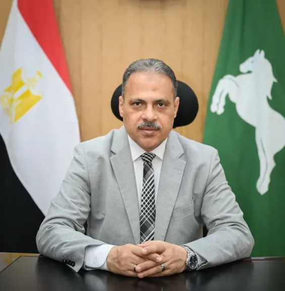 مجافظ الشرقية 