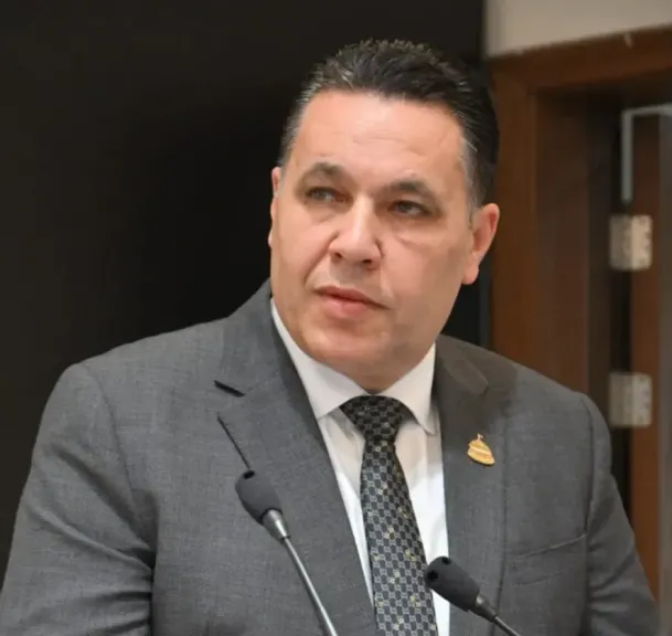 عماد الغنيمي