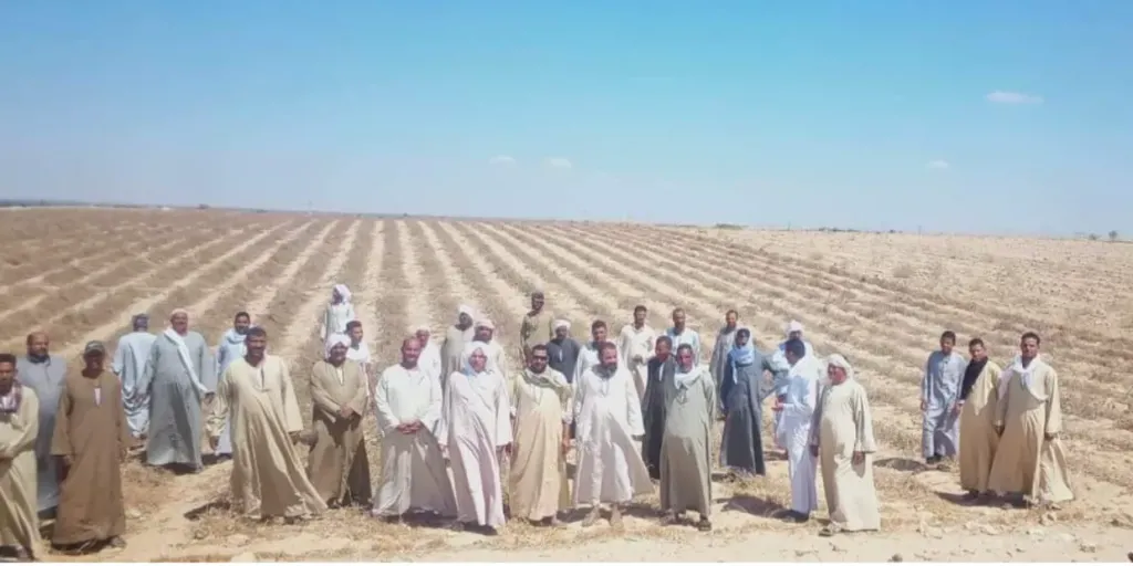 مزارعى سمسطا