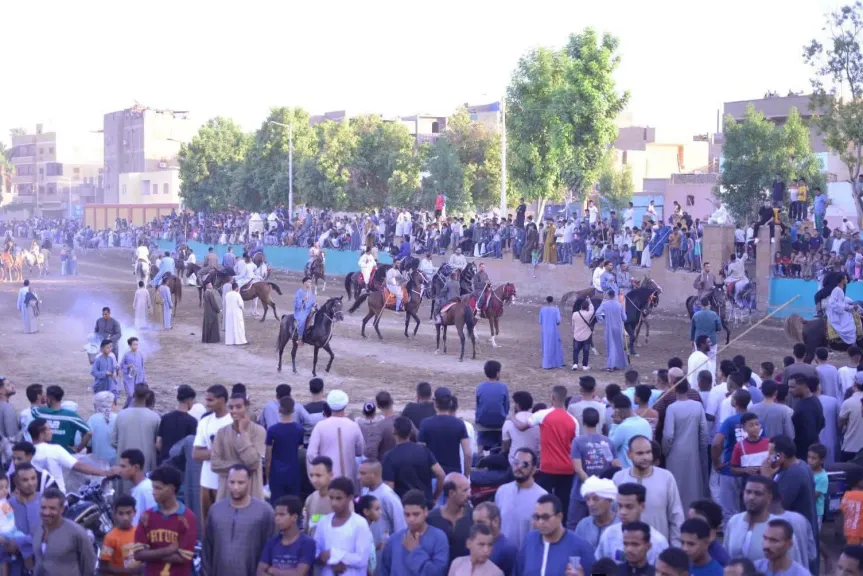 فرسان وخيول تحيي تراثًا صعيديًا متوارثًا