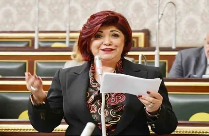 النائبة نورا علي، عضو مجلس النواب