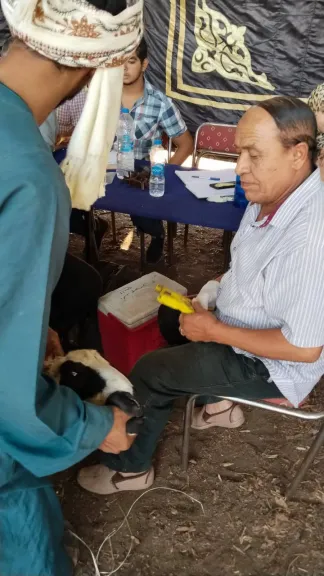 جانب من متابعه 
