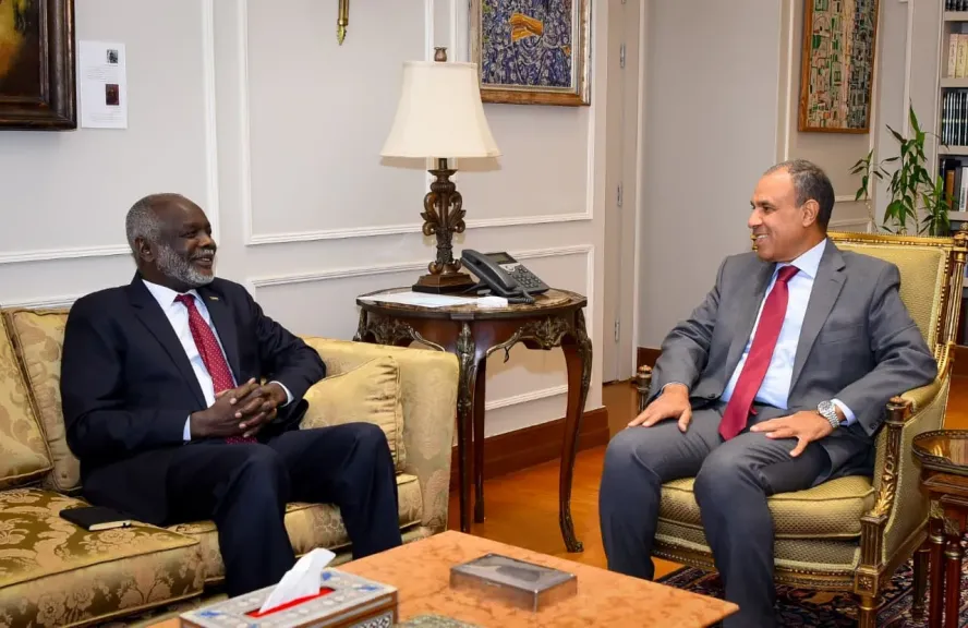 وزير الخارجية مع وزير المالية والتخطيط الاقتصادي السوداني
