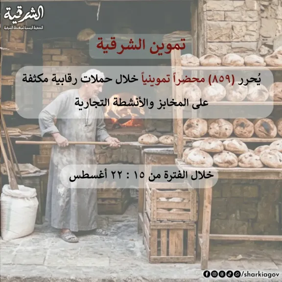 جانب من المضبوطات